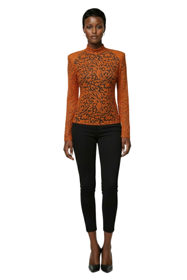 Arave Women's Knitted Viscose Mesh Embroidery Fabric Semi-Transparent Pullover Hover Image