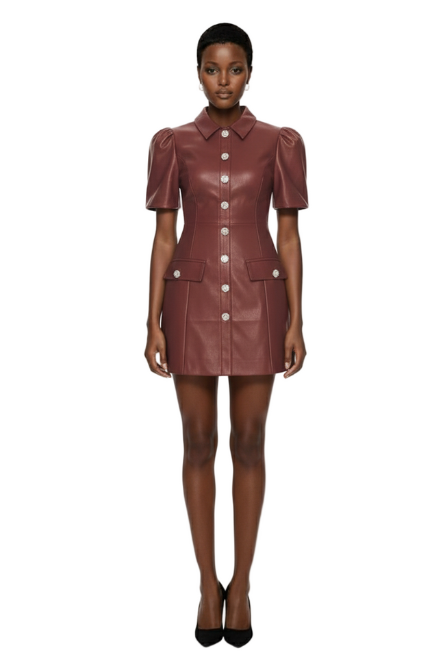 Anika Dress Hover Image