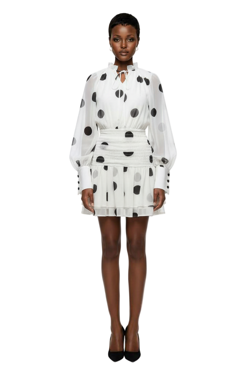 Arave Women's Short Style Big Wave Polka Dot Waist Slimming Chiffon Dress