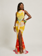 Radiant Printed Bodycon Maxi Dress