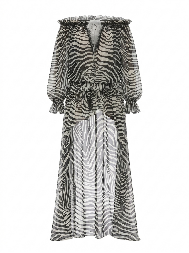 Fierce Zebra Print Maxi Dress Hover Image