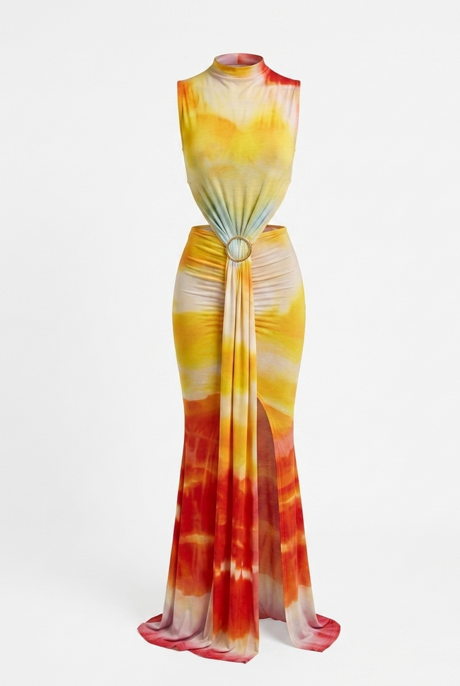 Radiant Printed Bodycon Maxi Dress Hover Image
