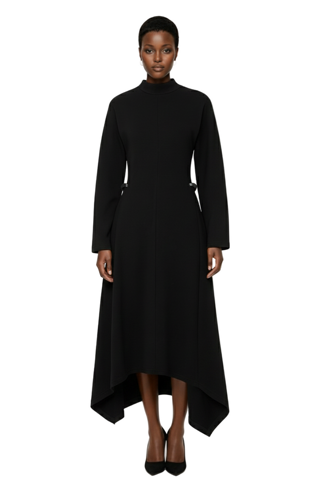 LYSMO 2025 New Arrive Minimalism Winter Dress Hover Image