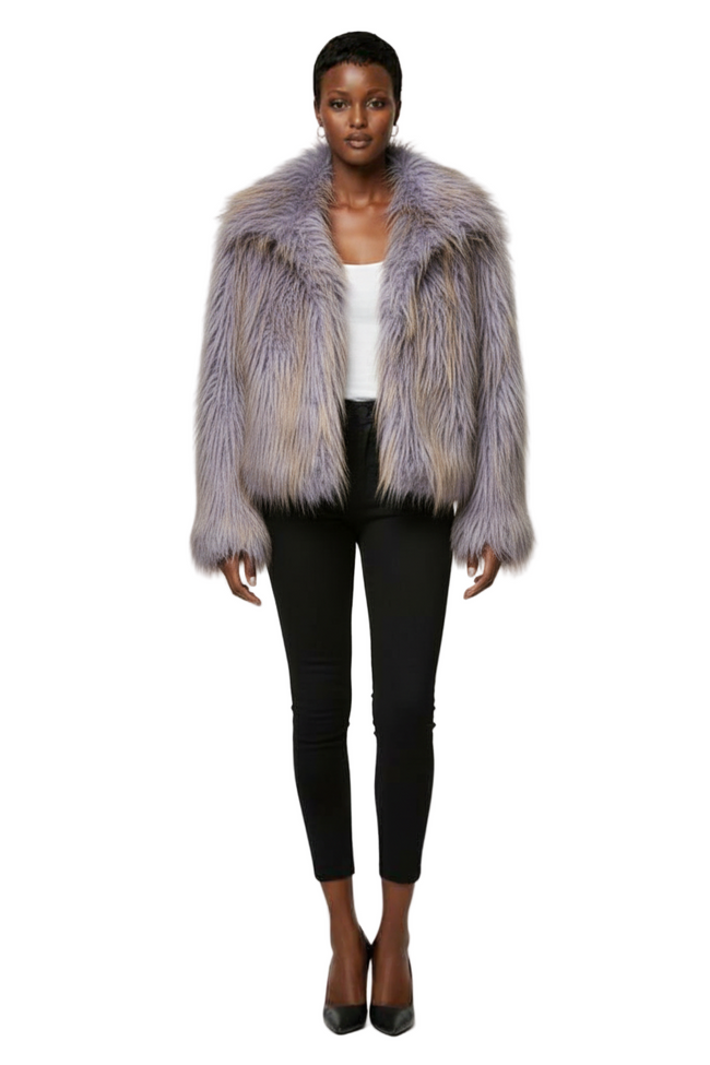 LYSMO SELECTION 2025 New Arrival Minimalist Fall/Winter Women's Luxe Cool Fluffy Faux Coat Hover Image