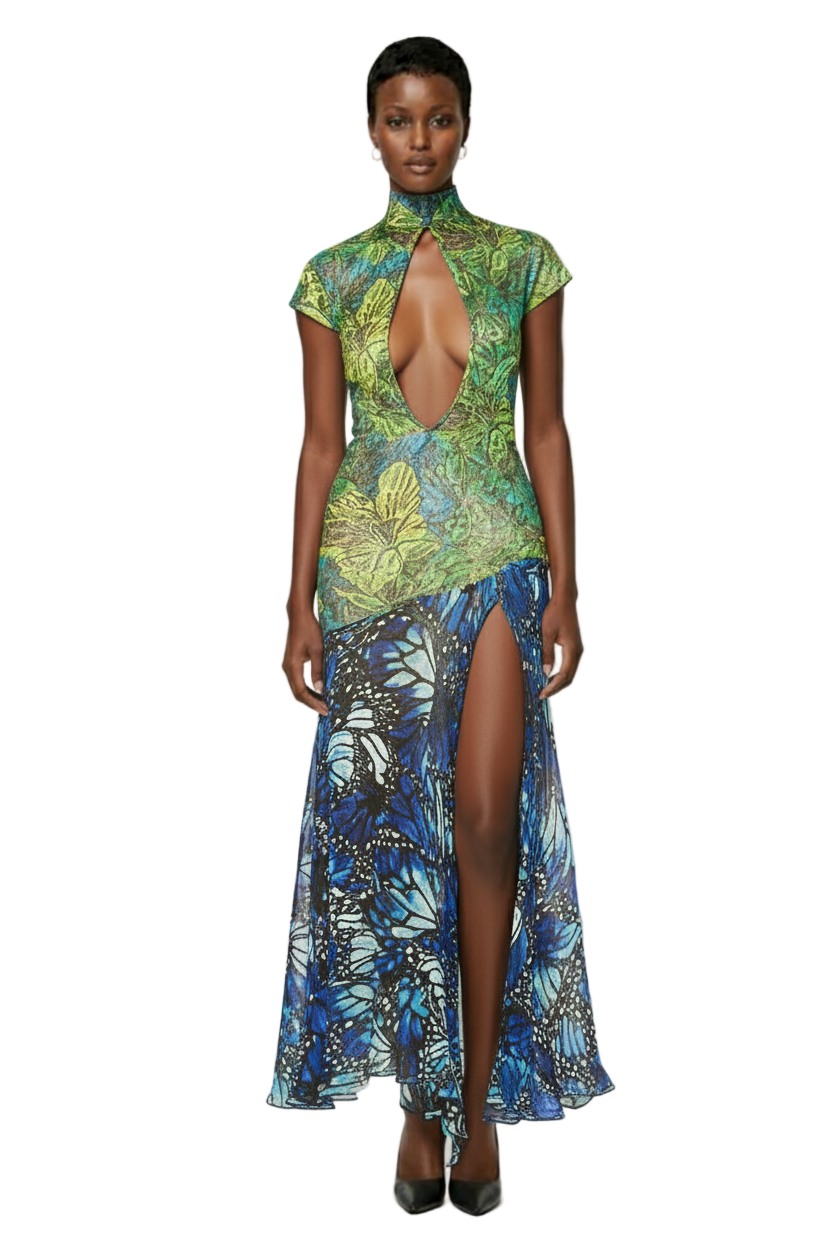 Lace Butterfly Dress