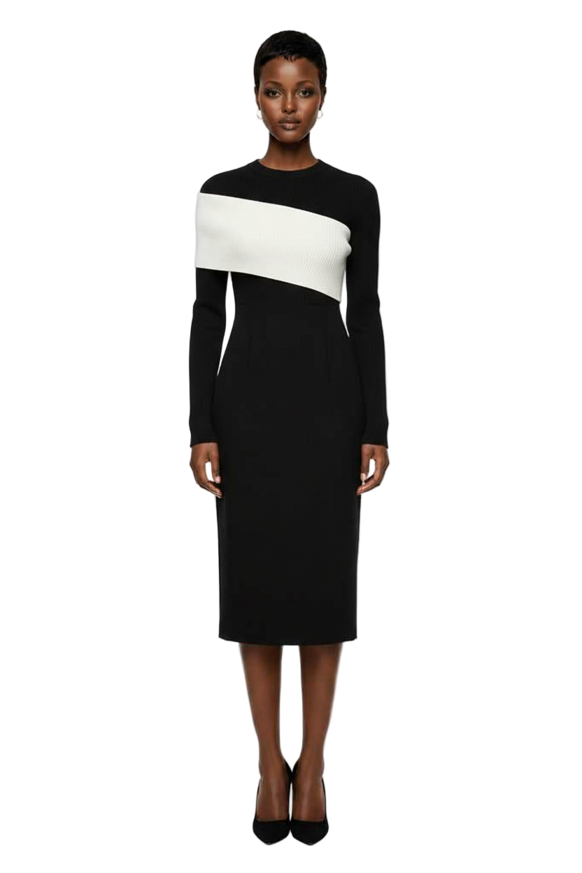 SHEIN Veneréa Women's Color Block Crew Neck Fitted Long Sleeve Sweater Dress