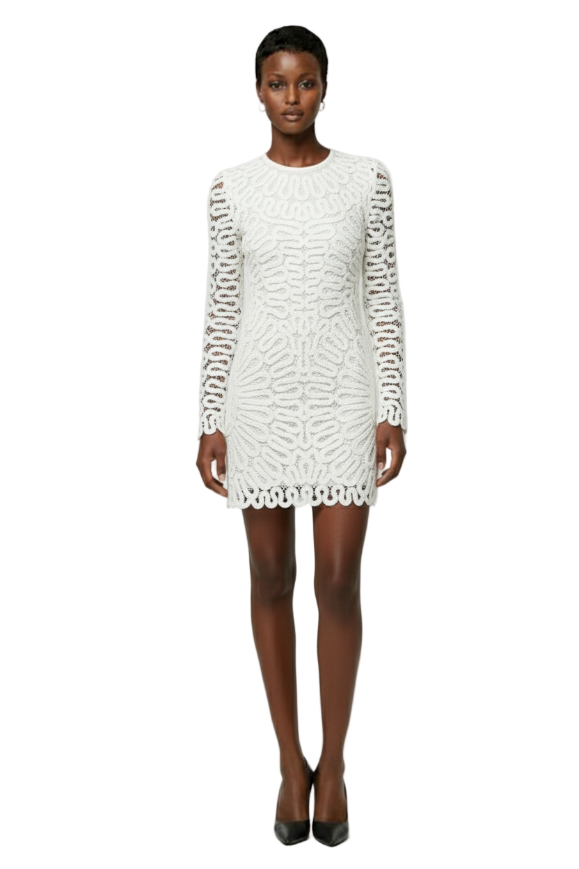 SIMKHAI Mccall Cage Crochet Embroidery Mini Dress