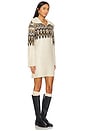 Essa Sweater Dress