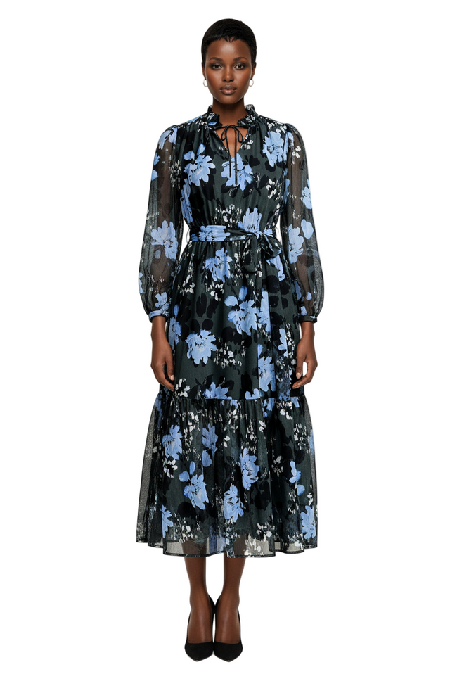 Women's Chiffon Tiered Long Sleeve Maxi Dress Hover Image