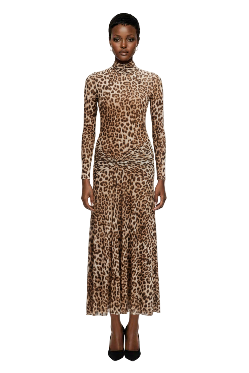 Women's Long Sleeves Printed Shift Dress