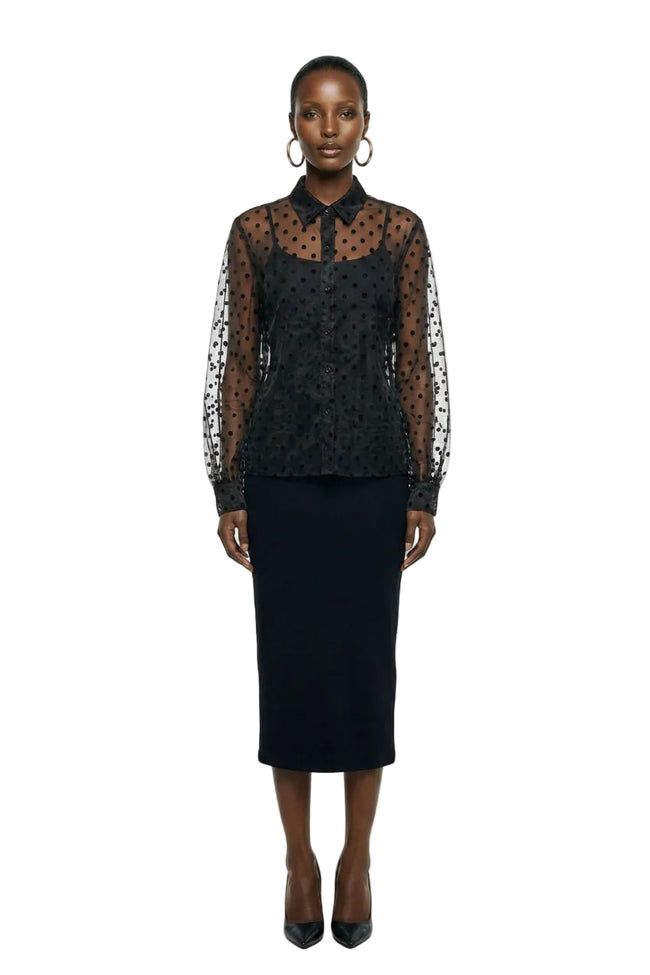 Sheer Polka Dot Organza Shirt Hover Image