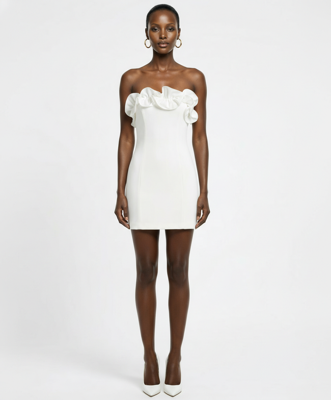 Cristina Mini Dress Hover Image