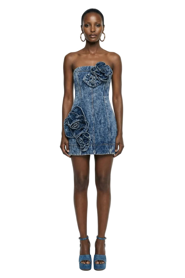 Angelina Denim Mini Dress Hover Image