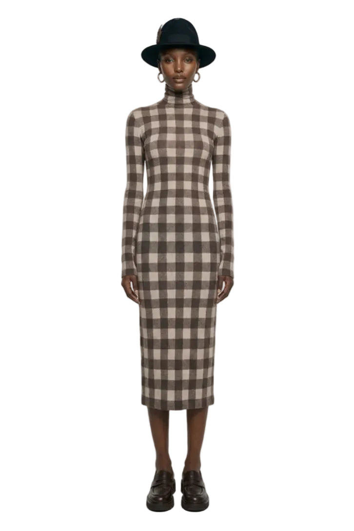 LONG SLEEVE TURTLENECK DRESS