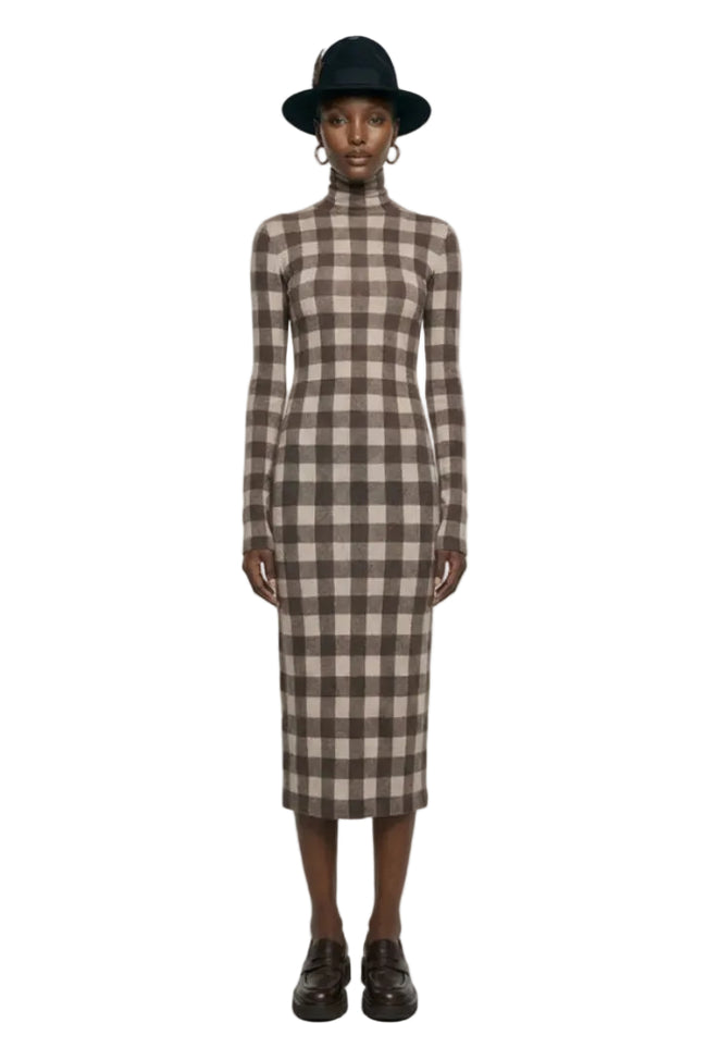 LONG SLEEVE TURTLENECK DRESS Hover Image
