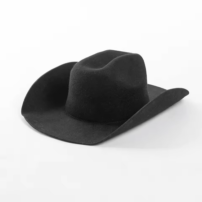 Daring Wool Wide Brim Fedora Hover Image