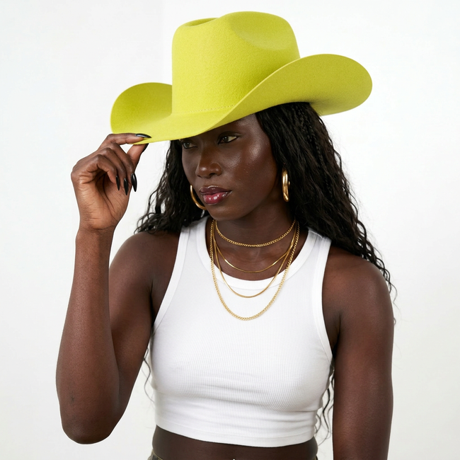 Resilient Wool Wide Brim Fedora Hover Image