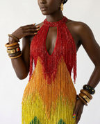 [PRE ORDER] Vibrant Rainbow Fringe Mesh Maxi Dress