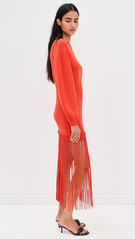 Wallis Knit Fringe Dress