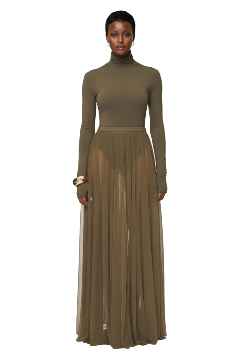 x REVOLVE Long Sleeve Turtleneck Flared Gown